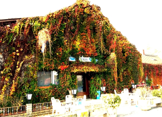 Gasthaus Farkas, Rotenturm